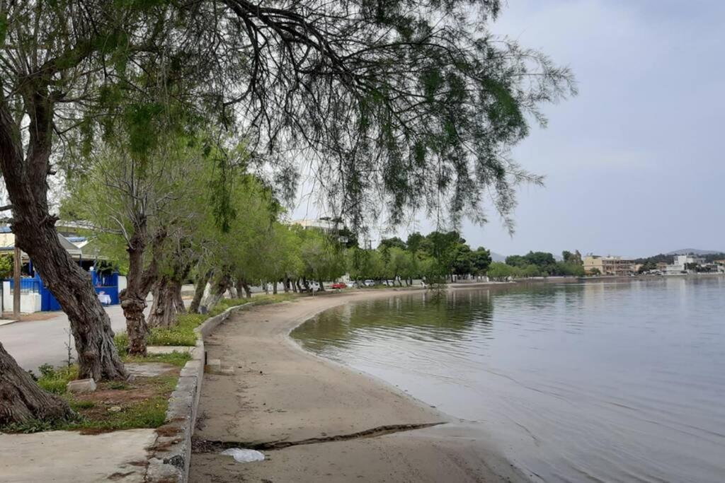 Πολυτελές Διαμέρισμα 2 Χαλκίδα-Παραλία Αυλίδος Paralia Avlidhos Exterior foto